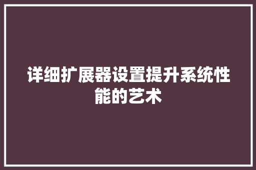 详细扩展器设置提升系统性能的艺术