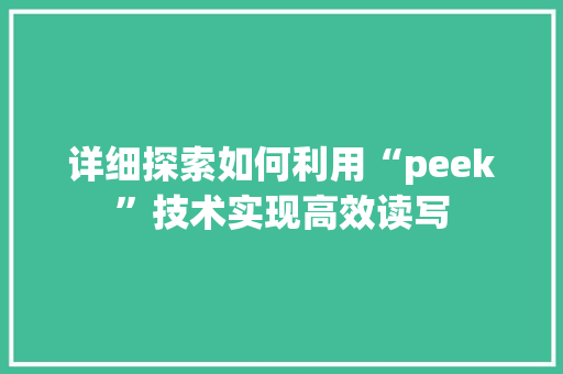 详细探索如何利用“peek”技术实现高效读写