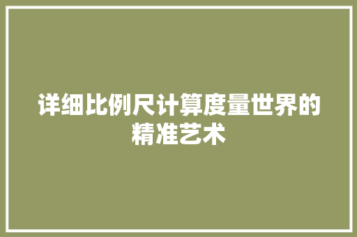 详细比例尺计算度量世界的精准艺术