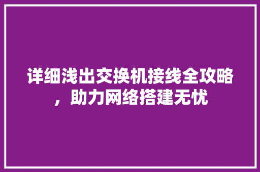 详细浅出交换机接线全攻略，助力网络搭建无忧