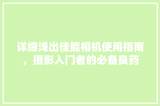 详细浅出佳能相机使用指南，摄影入门者的必备良药