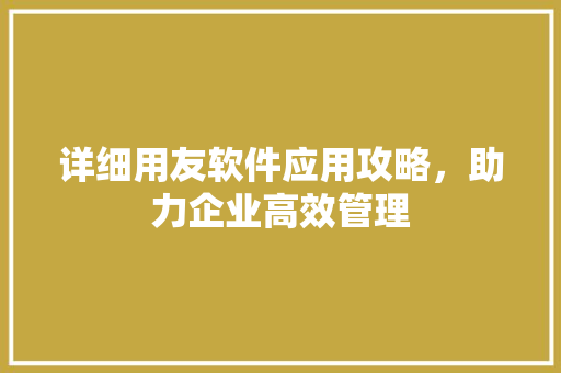 详细用友软件应用攻略，助力企业高效管理