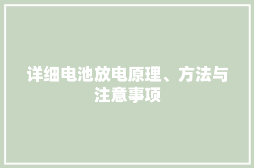 详细电池放电原理、方法与注意事项