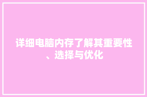 详细电脑内存了解其重要性、选择与优化