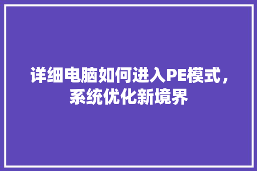 详细电脑如何进入PE模式，系统优化新境界