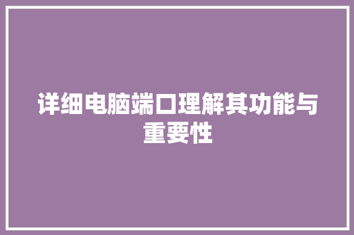 详细电脑端口理解其功能与重要性