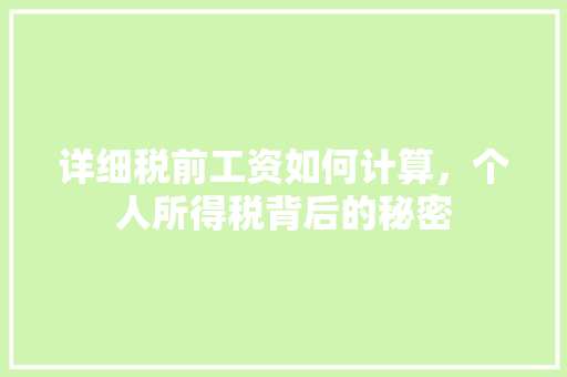 详细税前工资如何计算，个人所得税背后的秘密