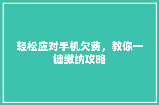 轻松应对手机欠费，教你一键缴纳攻略