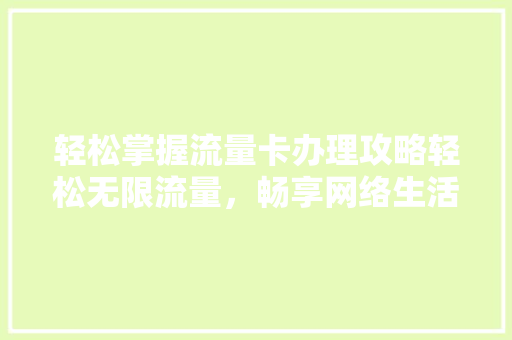 轻松掌握流量卡办理攻略轻松无限流量，畅享网络生活