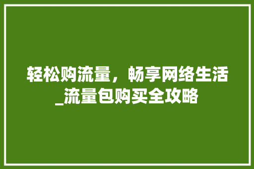 轻松购流量，畅享网络生活_流量包购买全攻略