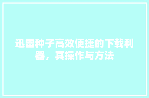 迅雷种子高效便捷的下载利器，其操作与方法
