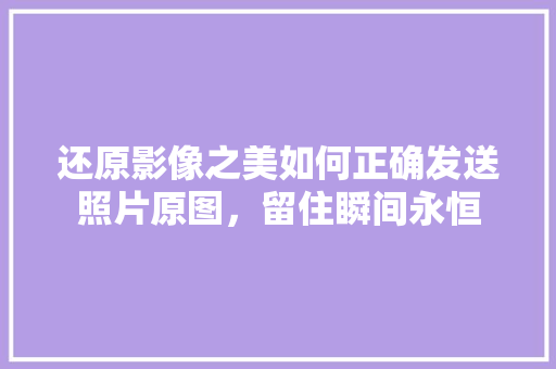 还原影像之美如何正确发送照片原图，留住瞬间永恒