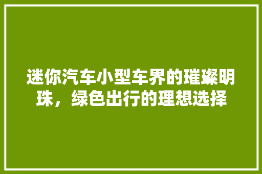 迷你汽车小型车界的璀璨明珠，绿色出行的理想选择