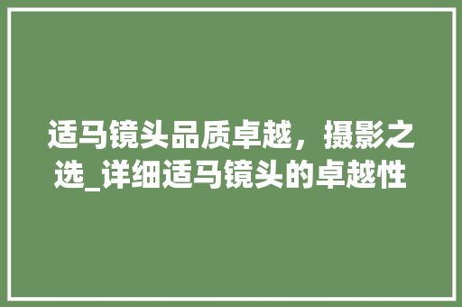 适马镜头品质卓越，摄影之选_详细适马镜头的卓越性能与独特魅力