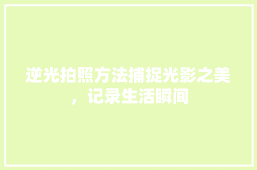 逆光拍照方法捕捉光影之美，记录生活瞬间