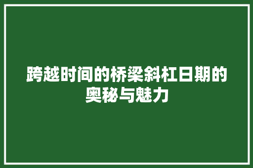 跨越时间的桥梁斜杠日期的奥秘与魅力