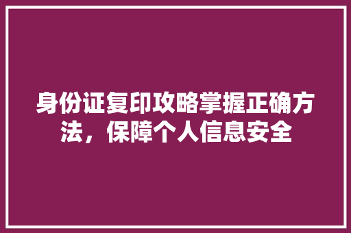 身份证复印攻略掌握正确方法，保障个人信息安全