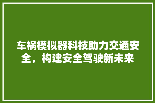 车祸模拟器科技助力交通安全，构建安全驾驶新未来