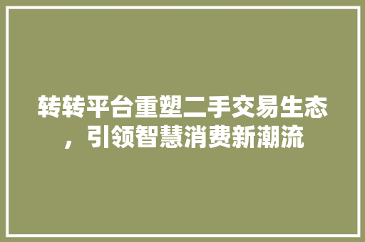 转转平台重塑二手交易生态，引领智慧消费新潮流
