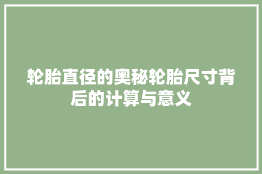 轮胎直径的奥秘轮胎尺寸背后的计算与意义