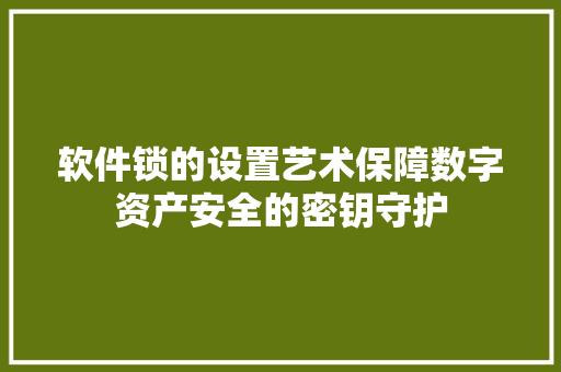 软件锁的设置艺术保障数字资产安全的密钥守护