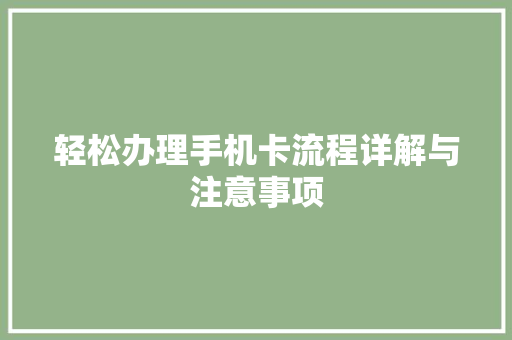 轻松办理手机卡流程详解与注意事项