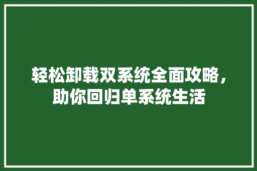 轻松卸载双系统全面攻略，助你回归单系统生活