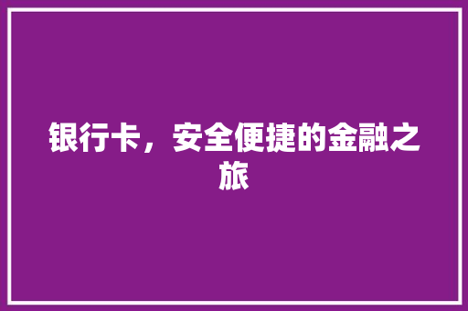 银行卡，安全便捷的金融之旅