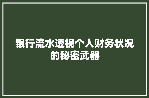 银行流水透视个人财务状况的秘密武器