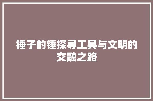 锤子的锤探寻工具与文明的交融之路