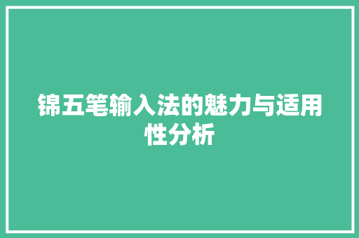 锦五笔输入法的魅力与适用性分析