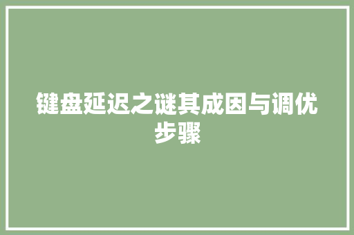 键盘延迟之谜其成因与调优步骤