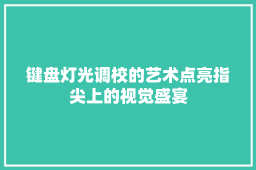 键盘灯光调校的艺术点亮指尖上的视觉盛宴
