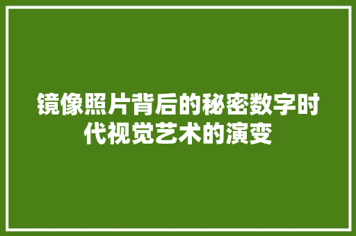 镜像照片背后的秘密数字时代视觉艺术的演变