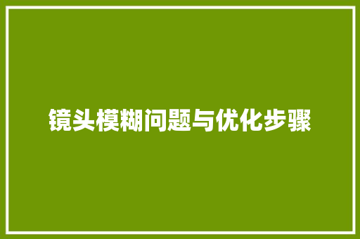 镜头模糊问题与优化步骤