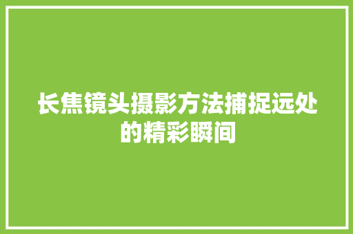 长焦镜头摄影方法捕捉远处的精彩瞬间