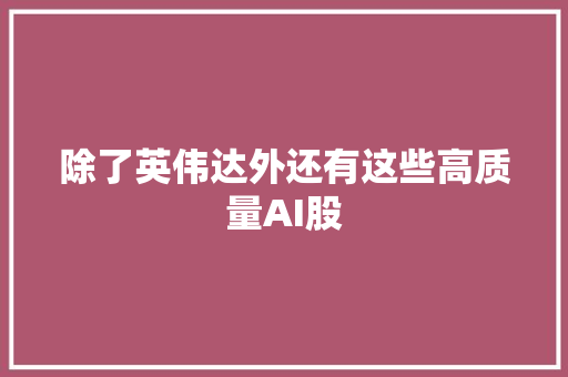 除了英伟达外还有这些高质量AI股
