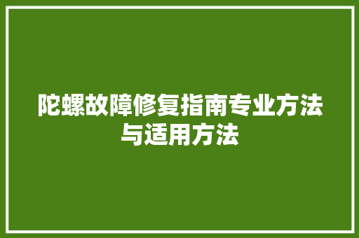 陀螺故障修复指南专业方法与适用方法