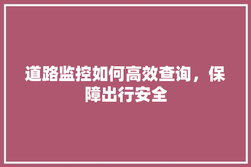 道路监控如何高效查询，保障出行安全