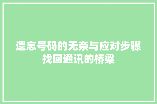 遗忘号码的无奈与应对步骤找回通讯的桥梁