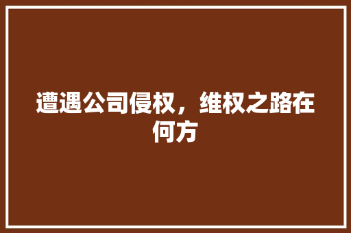 遭遇公司侵权，维权之路在何方