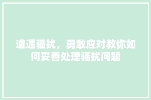 遭遇骚扰，勇敢应对教你如何妥善处理骚扰问题