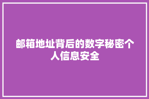 邮箱地址背后的数字秘密个人信息安全