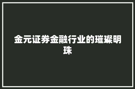 金元证券金融行业的璀璨明珠