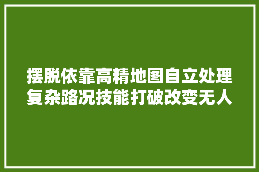 摆脱依靠高精地图自立处理复杂路况技能打破改变无人驾驶时间表