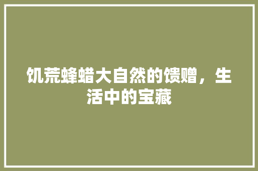 饥荒蜂蜡大自然的馈赠，生活中的宝藏