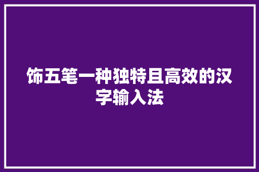饰五笔一种独特且高效的汉字输入法