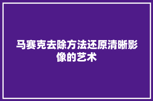 马赛克去除方法还原清晰影像的艺术