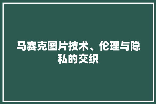 马赛克图片技术、伦理与隐私的交织