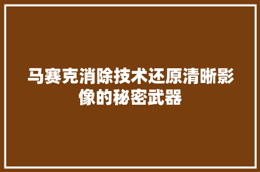 马赛克消除技术还原清晰影像的秘密武器